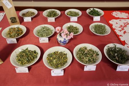 Društvo upokojencev Kamnik odprlo svoja vrata in podelilo športna priznanja (16)